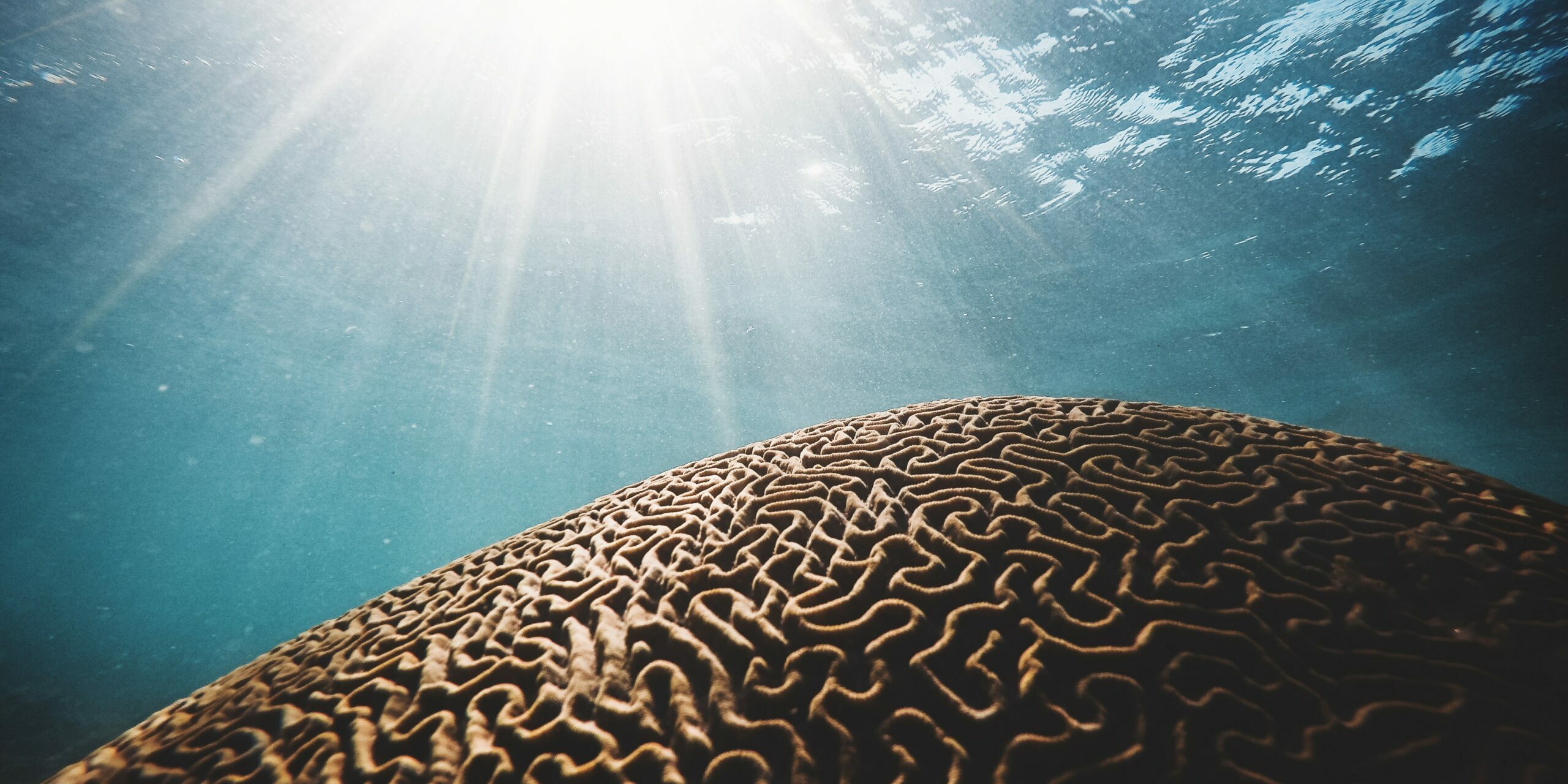 daniel-hjalmarsson-41Wuv1xsmGM-unsplash